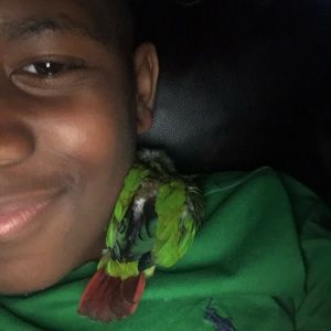 Meet your Posher, Cayden